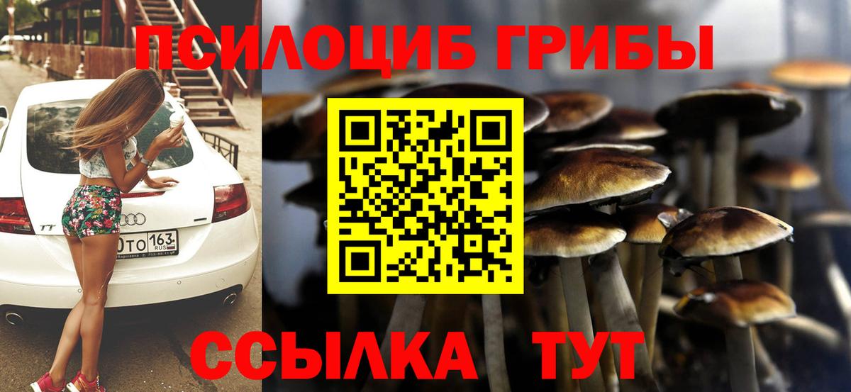 Галлюциногенные грибы Psilocybe  Галлюциногенные грибы прущие грибы  Вход с VPN  Добрянка 