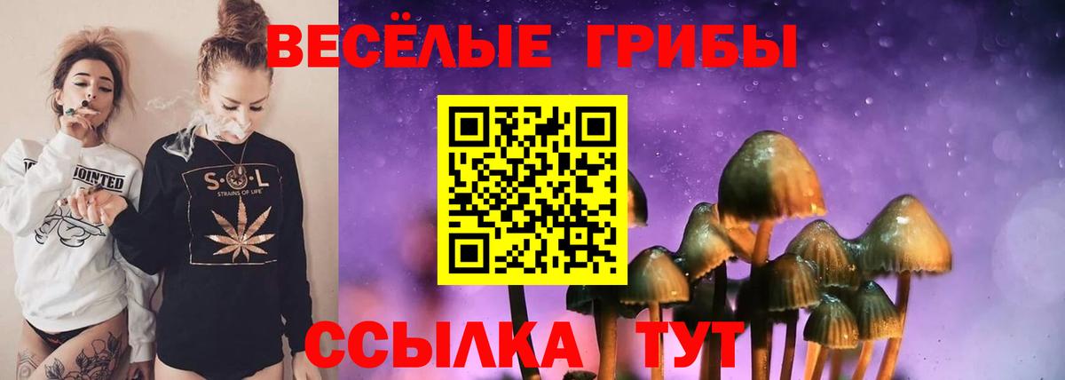 Псилоцибиновые грибы MAGIC MUSHROOMS Добрянка